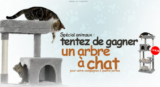 Tentez votre chance pour peut-être remporter un arbre à chat !